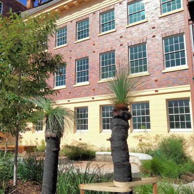 A native plant garden in front of a brick building